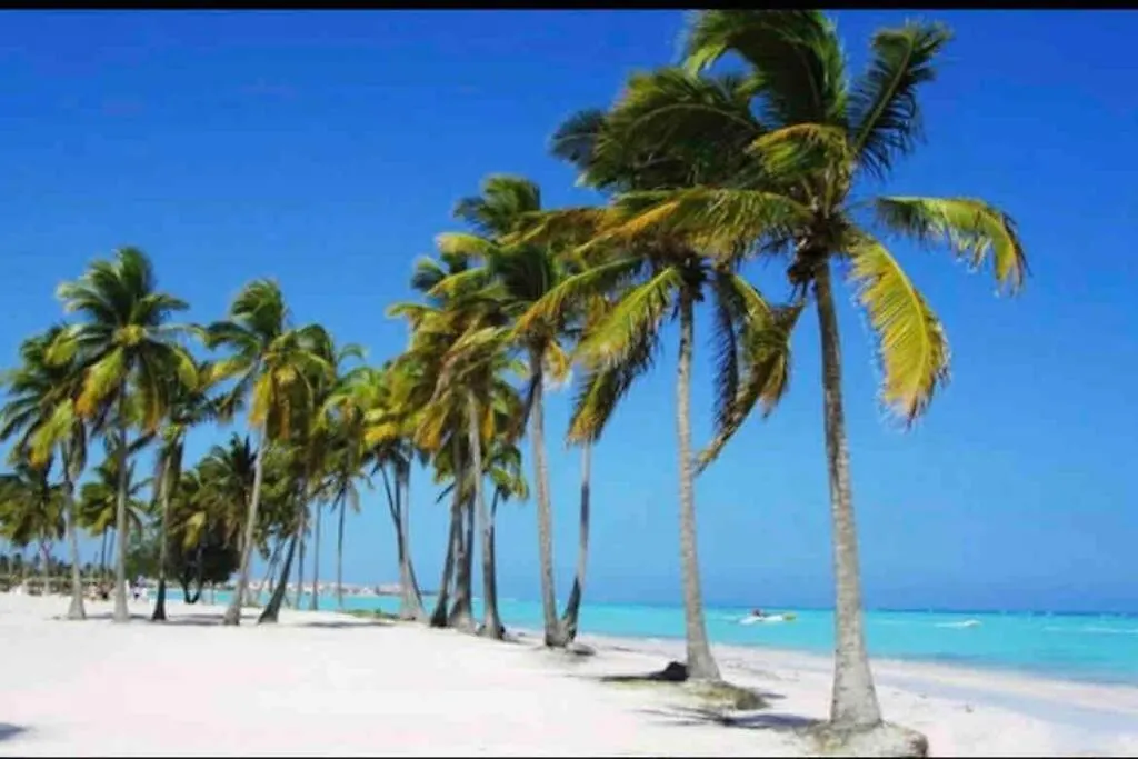 Apartmán Espectacular Apartamento En Tanama Cap Cana Punta Cana